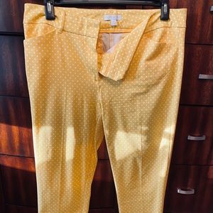 New York and Co Audrey ankle pants